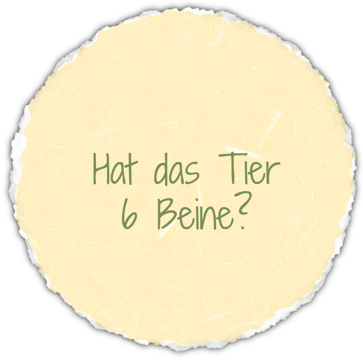 Bestimmungsschlüssel_6Beine I²CAMPUS